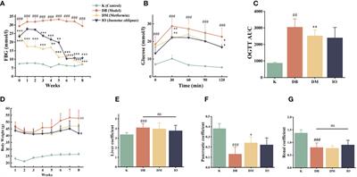 Methanol extract of Inonotus obliquus improves type 2 diabetes mellitus through modifying intestinal flora